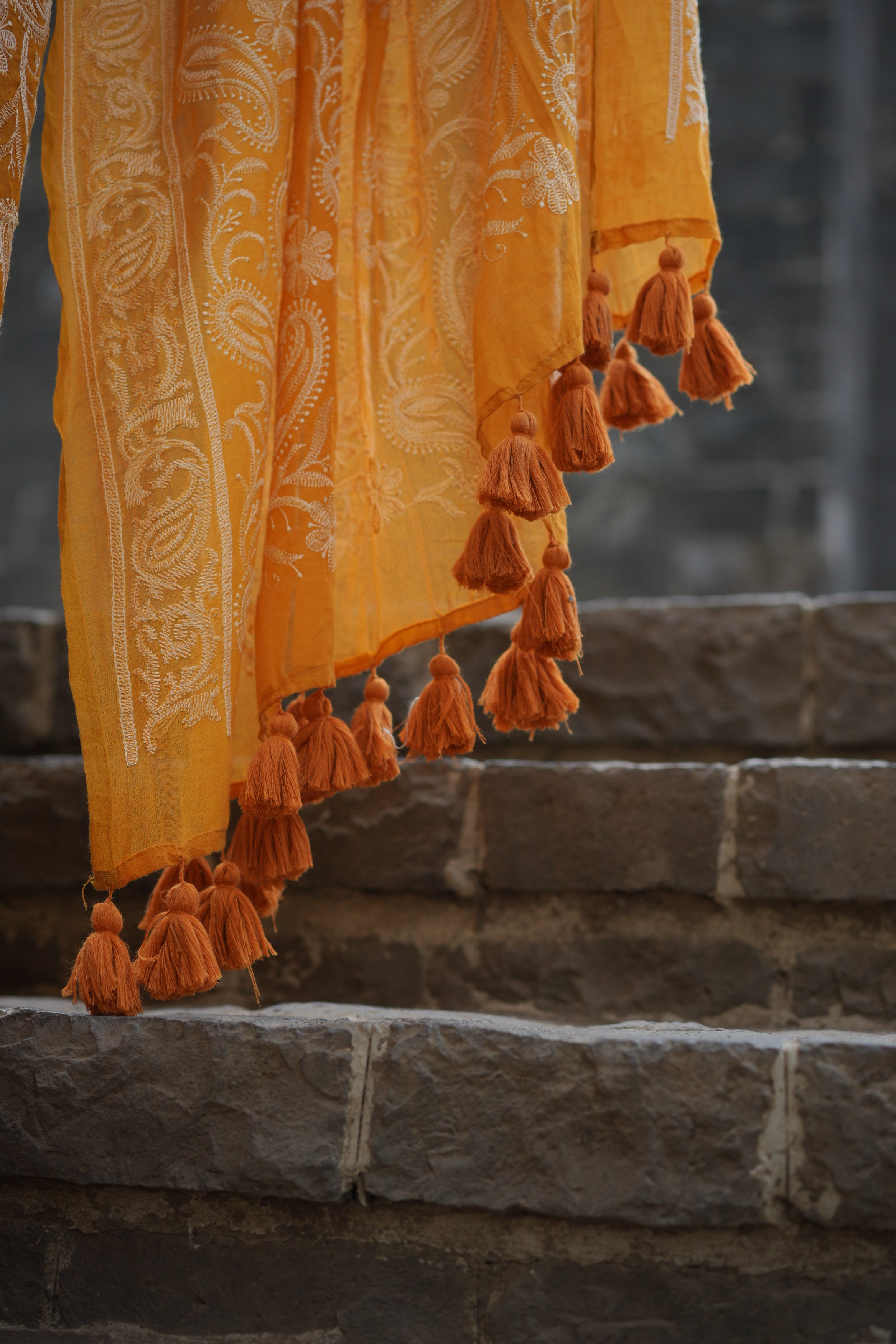 Handwoven Chikankari Embroidery on Mulcotton Saree